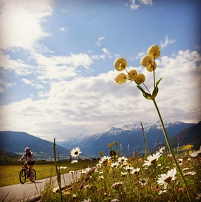 Vinschgau bike trail